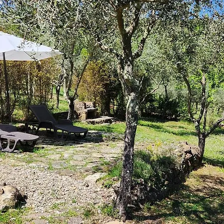 Lindo No Coracao Do Chianti! Apartment Castellina in Chianti